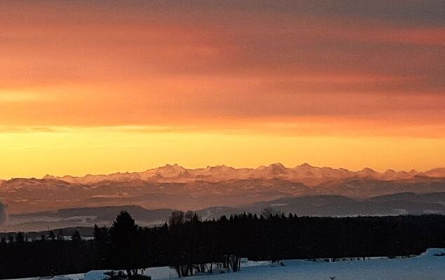 Gustis Hüsli - Alpensicht & Natur pur - Photo 57