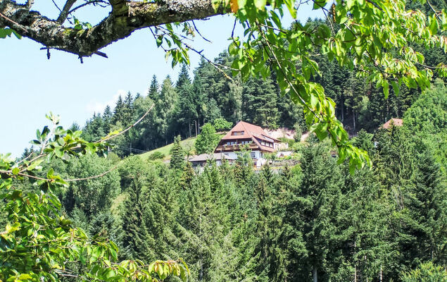 Biohof Herrenweg - Photo 12