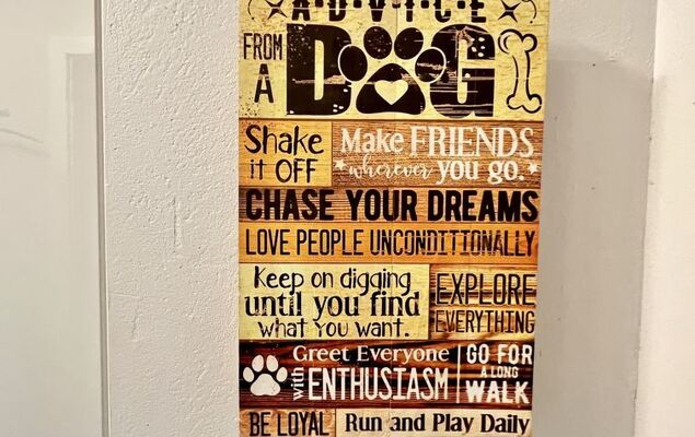 Sonnige Aussichten - Photo 7