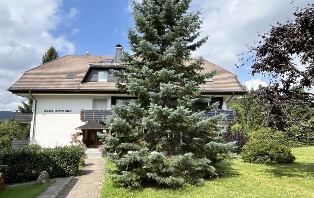 Sonnige Aussichten - Photo 9