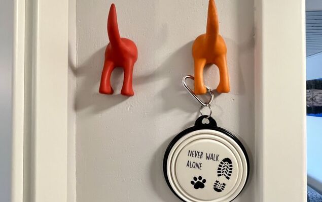 Sonnige Aussichten - Photo 30