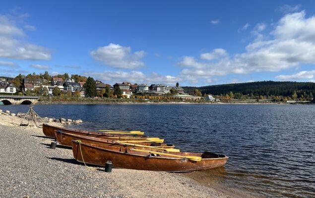 Sonnige Aussichten - Photo 34