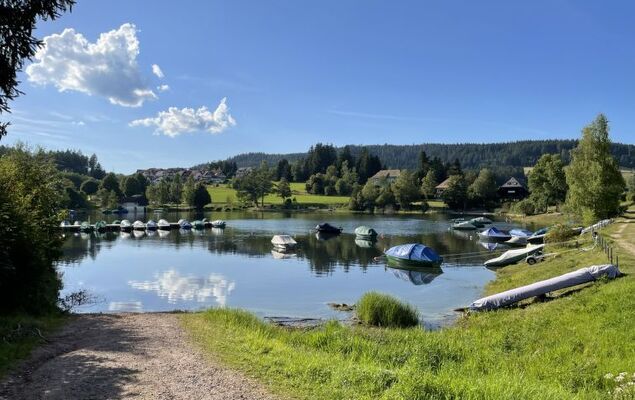 Sonnige Aussichten - Photo 38