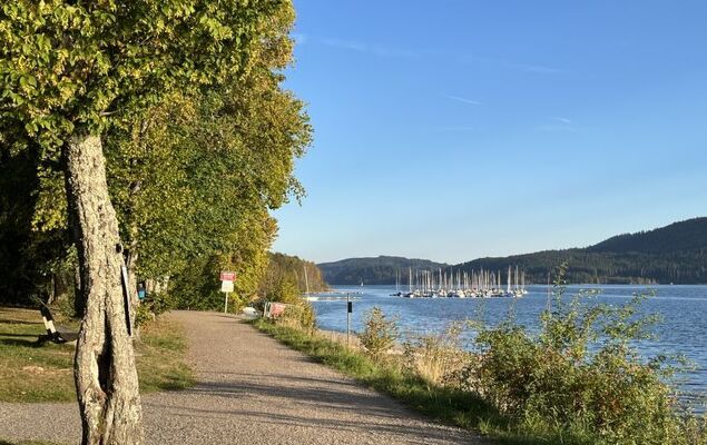 Sonnige Aussichten - Photo 39